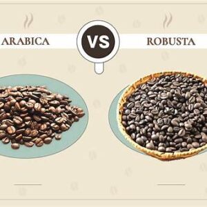 Phân Biệt Hạt Cà Phê Arabica, Robusta Và 5 Cách Nhận Biết Chất Lượng 4 Tổng quan về Arabica & Robusta