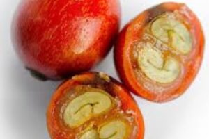 Khám Phá Cấu Tạo Trái Cà Phê: Bí Mật Ẩn Trong Từng Lớp Vỏ Và Hạt 5 Nhân cà phê (Bean) – Trái tim của tách cà phê