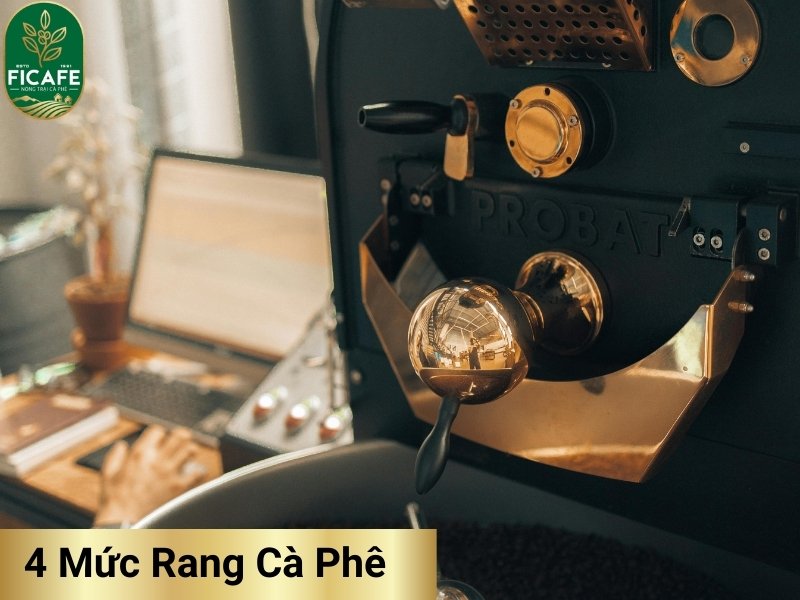 4 Mức Rang Cà Phê Ảnh Hưởng Thế Nào Đến Hương Vị Tách Cà Phê Của Bạn? 6 4 Mức rang cà phê