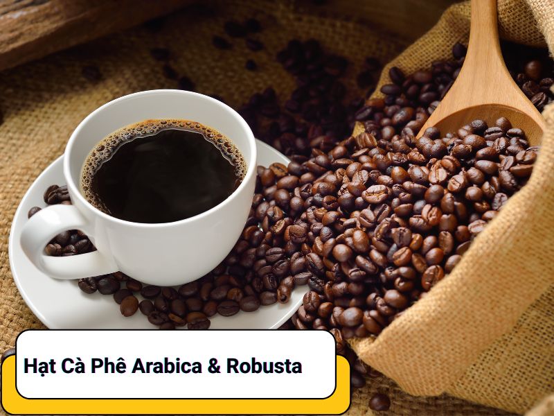 Phân Biệt Hạt Cà Phê Arabica, Robusta Và 5 Cách Nhận Biết Chất Lượng 8 Cách Nhận Biết Chất Lượng Hạt Cà Phê