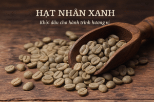 Tiêu Chuẩn Đánh Giá Cà Phê Nhân 6 Hạt nhân xanh – khởi đầu cho hành trình hương vị
