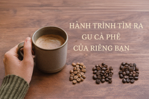 3 Cách Chọn Cà Phê Rang Phù Hợp Khẩu Vị : Light – Medium – Dark Roast Là Gì? 6 Hành trình tìm ra “gu cà phê” của riêng bạn
