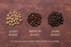 3 Cách Chọn Cà Phê Rang Phù Hợp Khẩu Vị : Light – Medium – Dark Roast Là Gì? 7 Mức độ rang là gì và tại sao ảnh hưởng đến hương vị cà phê?
