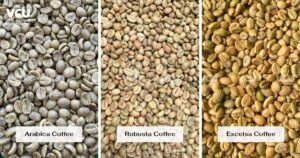 Vì sao chọn đúng cà phê nhân lại quan trọng