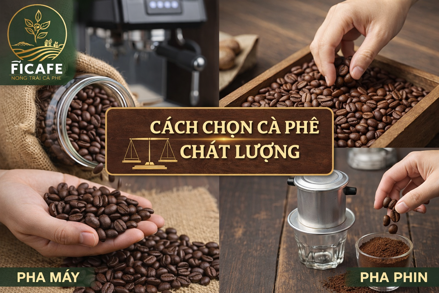 cach chon ca phe chat luong