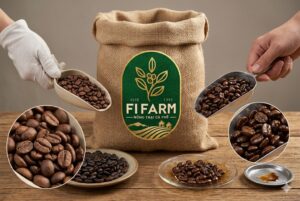 Độ bóng và độ dầu trên bề mặt hạt